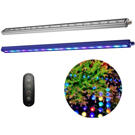Reef Blue UV LED bar (18 x 3W / 55 cm)